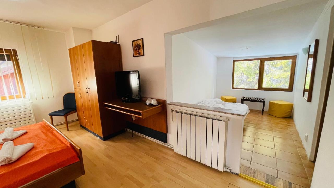 Pensiunea Luminita Busteni Exterior photo